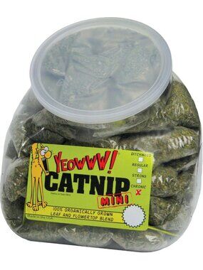 50 Mini Catnip Toys in Fun Jug - Perfect for Playful Cats & Kittens!